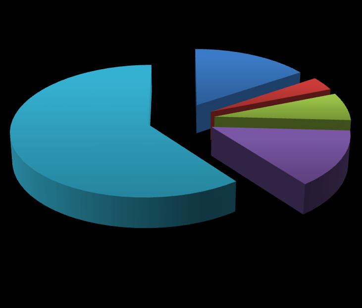 Rys. 3 Studenci I stopnia - tryb stacjonarny Pracuję na stanowisku IT w firmie/instytucji z branży IT Pracuję na stanowisku IT w firmie/instytucji spoza branży IT 60% 16% 7% 14% 3% Nie pracuję na