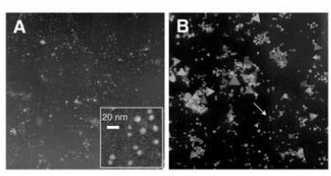 nanospheres nanoprisms TEM images mapping the