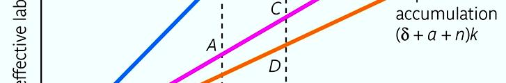 Wzrost endogeniczny Burda & Wyplosz MACROECONOMICS 6/e Fig. 4.