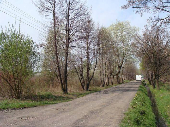 Spiskiej (A.Sarna, 04.2009) Fot.