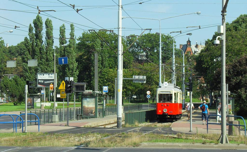 7 nie boją się mrozów, więc rosną dleko n północy, już wczesną wiosną wypuszczją zielone listki i pierwsze kwitną. Osik m jednk pewną cechę, któr wzbudzł w ludzich niepokój i podejrzliwość.