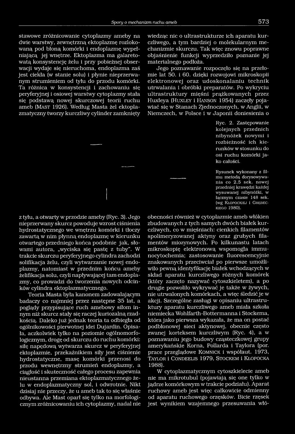 Ta różnica w konsystencji i zachowaniu się peryferyjnej i osiowej warstwy cytoplazmy stała się podstawą nowej skurczowej teorii ruchu ameb (M a s t 1926).