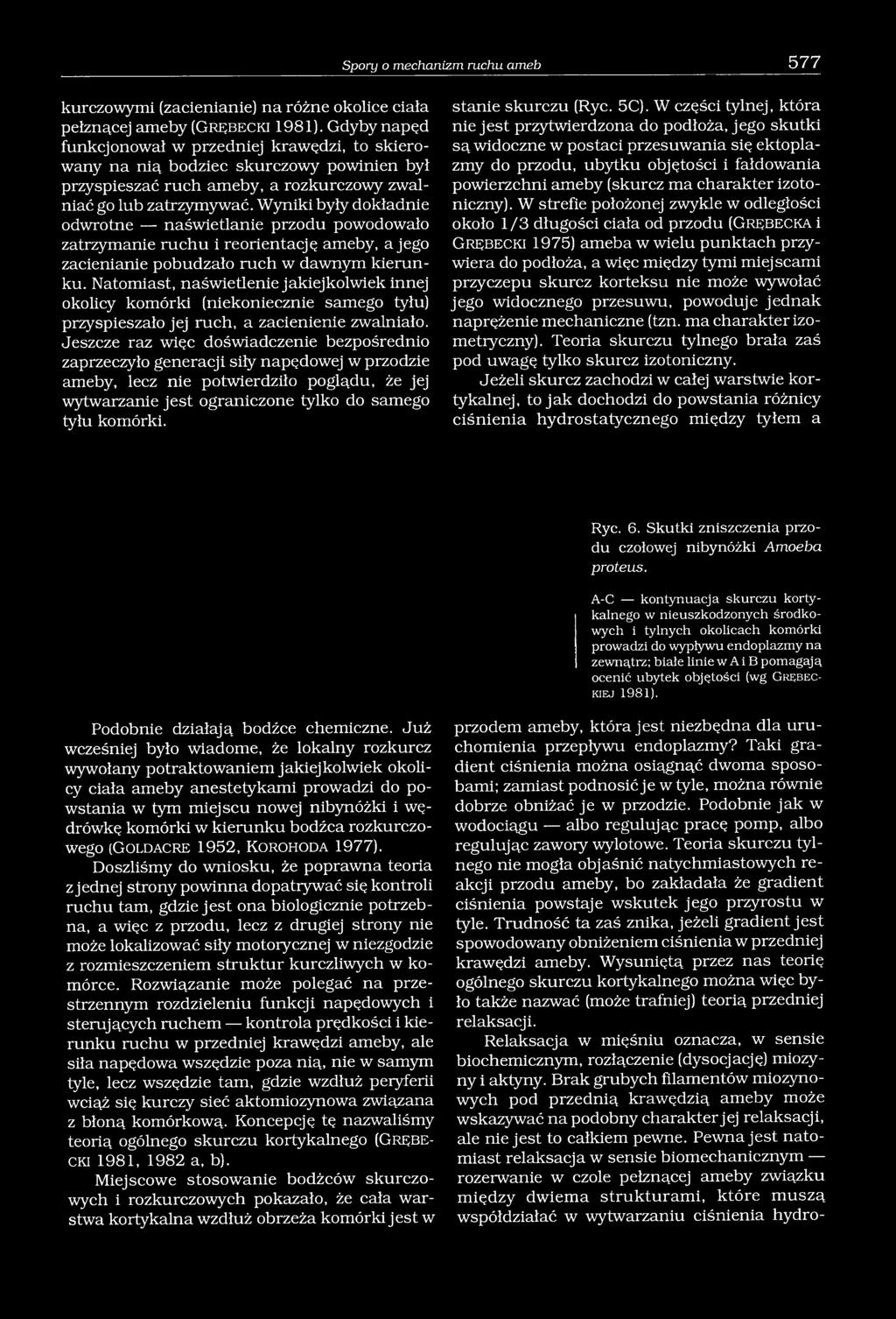 Wyniki były dokładnie odwrotne naświetlanie przodu powodowało zatrzymanie ruchu i reorientację ameby, a jego zacienianie pobudzało ruch w dawnym kierunku.