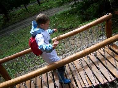 Gospodarstwo Leśne Lasy Państwowe