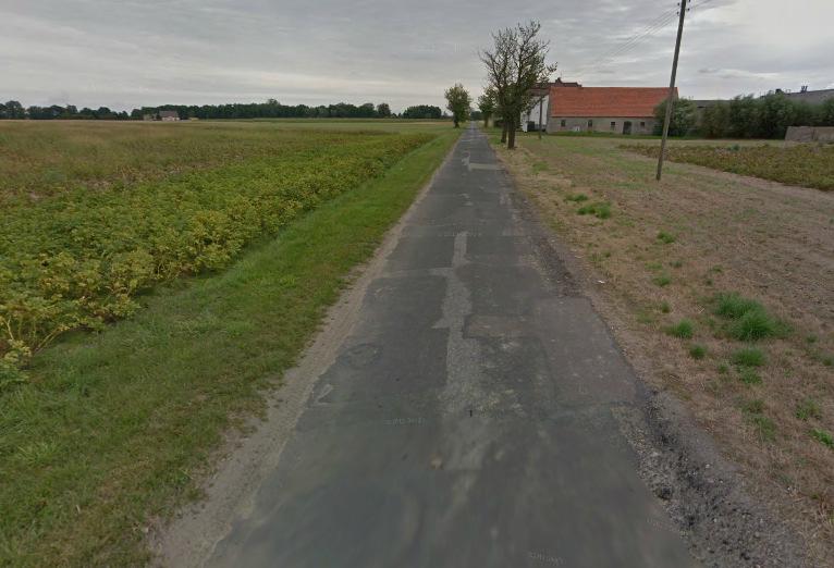 Przebudowa droi minnej w m Wszembórz - przy drodze występuje drzew owocowych oraz jedna brzoza Należy usunąć wszystkie drzewa Znajdują się w projektowanej nawierzchni Na końcu droi km +, znajduje się