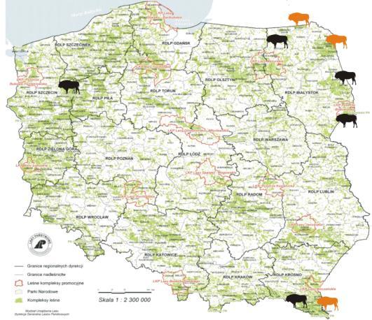 Analiza potencjalnych miejsc wsiedlania i tworzenie nowych subpopulacji Nd.