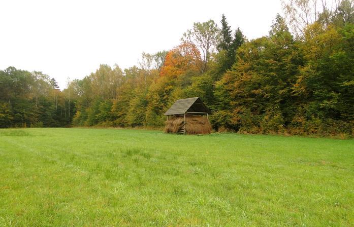 Np. populacja białowieska Utrzymywanie łąk i poletek łowieckich pod potrzeby pokarmowe