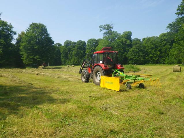 jakości) Nadleśnictwo Białowieża 45 ha (45 ha) Nadleśnictwo Browsk 200 ha (55 ha)