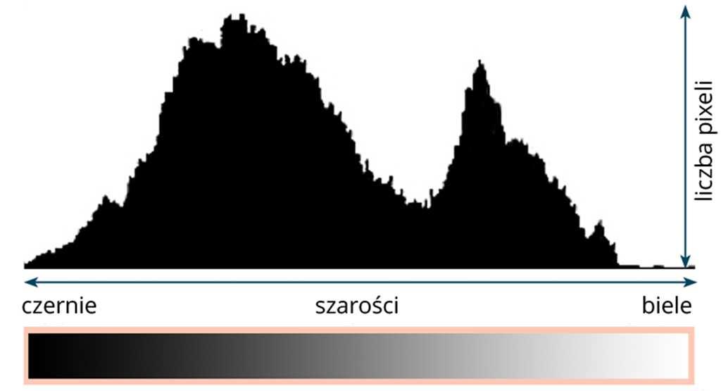 Wykorzystanie histogramu Histogram