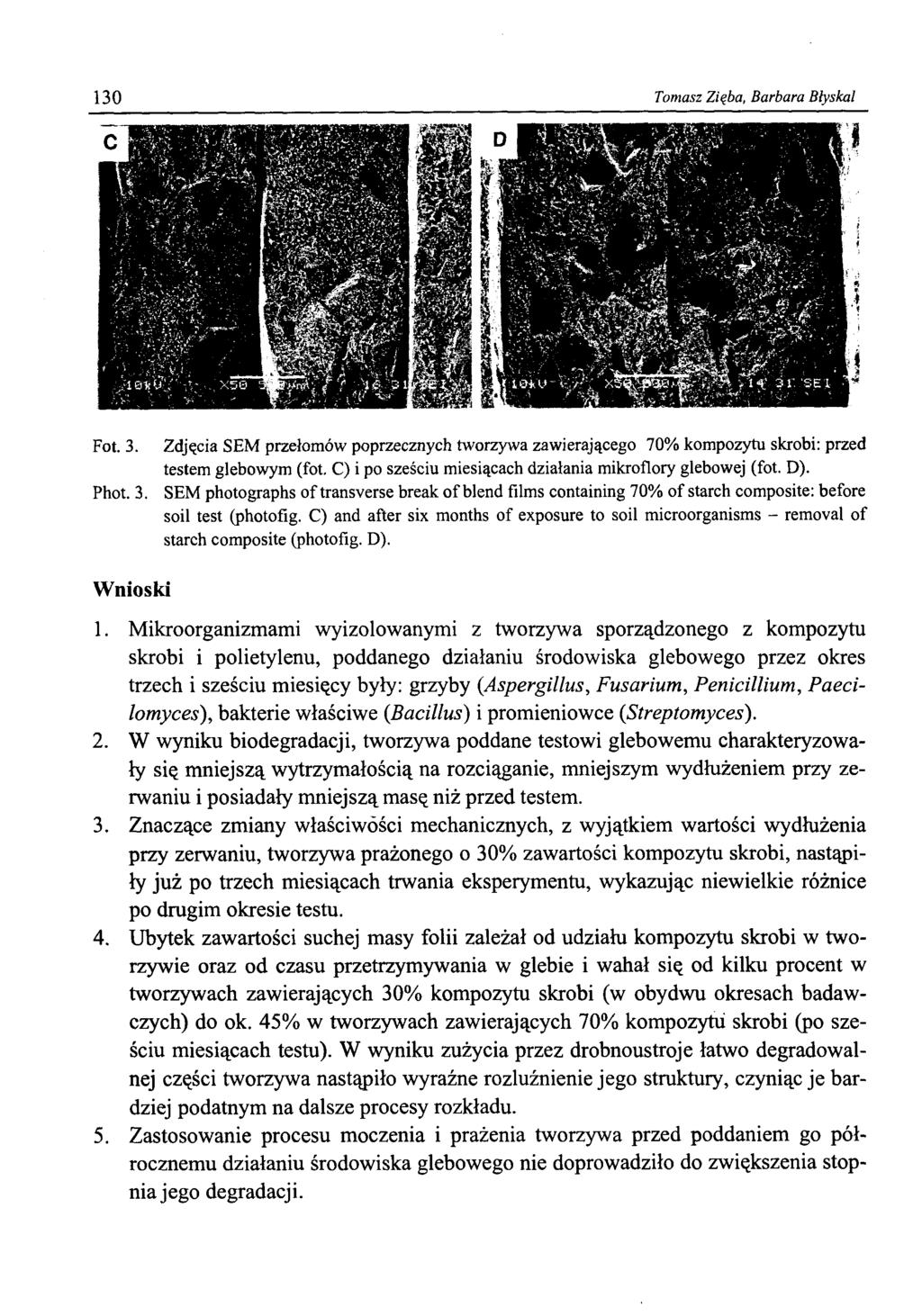 130 Tomasz Zięba, Barbara Błyskał Fot. 3. Phot. 3. Zdjęcia SEM przełomów poprzecznych tworzywa zawierającego 70% kompozytu skrobi: przed testem glebowym (fot.
