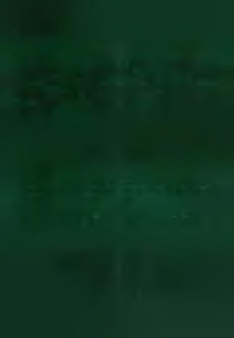 z o.o. Wielicz
