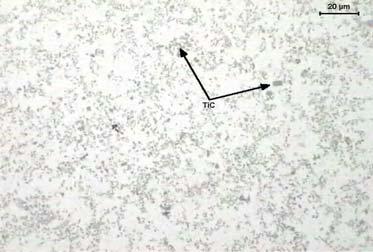 Mikrostruktura kompozytu Al+TiB 25%, pow. 500x Fig. 4. Microstructure of composite Al+TiB 25%, mag. 500x Rys.