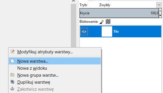 7. Warstwę nizina należy wypełnić kolorem szarym narzędziem