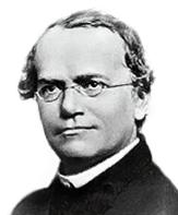 Gregor Mendel