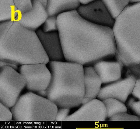 Morfologia powierzchni próbki wygrzewanej w temperaturze 1000 : a) powiększenie 5000x, podziałka10 µm, b) powiększenie 10000x, podziałka 5µm.