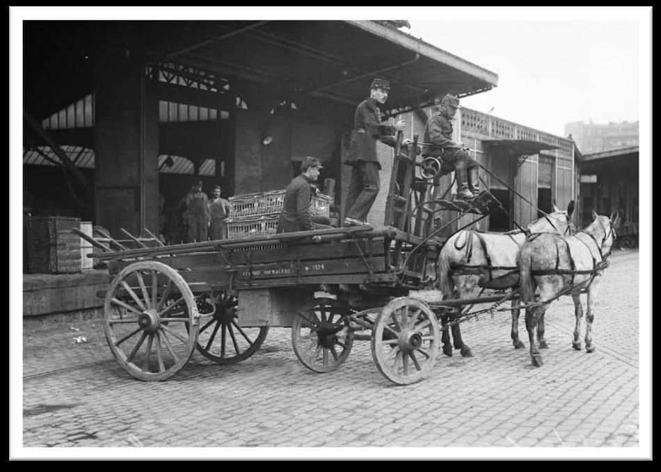 Francja - I Wojna Światowa - transport gołębi pocztowych Naczelne dowództwo francuskie w jednym ze swych sprawozdań o służbie łączności na froncie w roku 1916.