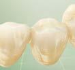 (FONA Dental s.r.o.