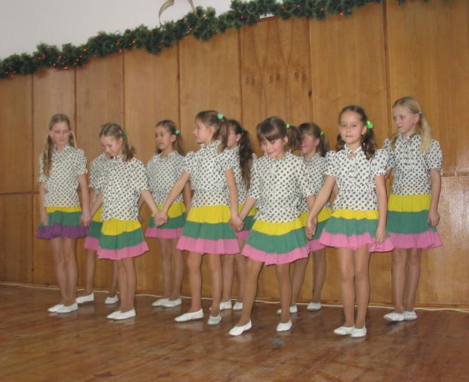 KONCERT NOWOROCZNY W dniu 17 stycznia w sali konferencyjnej urzędu gminy odbył