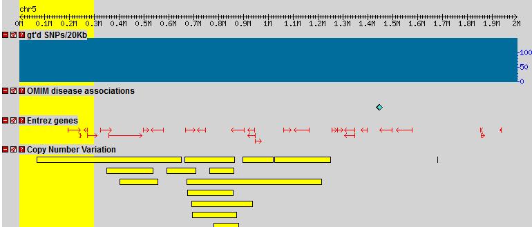 WYNIKI fragment chromosomu gęstość ułożenia SNP wyniki z
