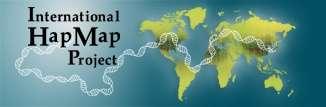 HAPMAP BAZA DANYCH HAPMAP - haplotypy SNP
