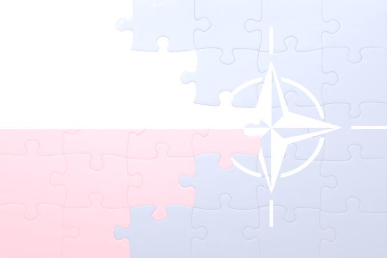 Instytut Bezpieczeństwa Narodowego Wydziału Nauk o Zarządzaniu i