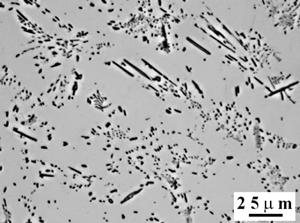 Rys. 4. Mikrostruktury odlewniczego stopu magnezu AE63 Fig. 4. Microstructures of cast AE63 magnesium alloy Lp.