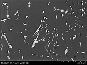 Microstructure of the cast AE63 magnesium alloy, SEM 4000 3000 Al 11 RE 3 α-mg Natężenie