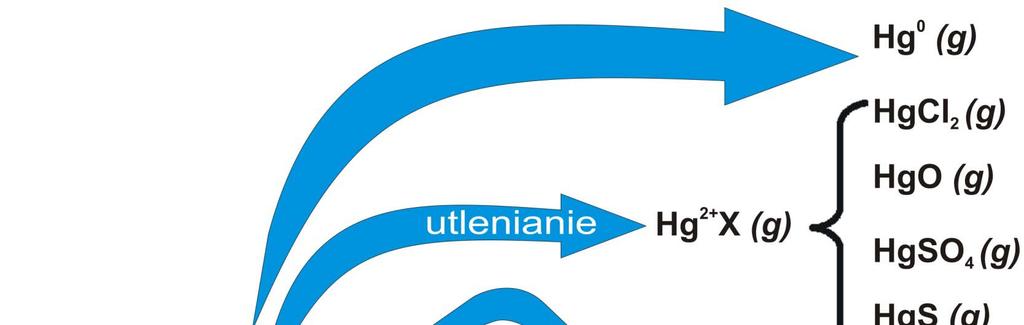 Przekształcenia rtęci podczas spalania węgla Rtęć emitowana jest do atmosfery w trzech głównych postaciach: Hg 0