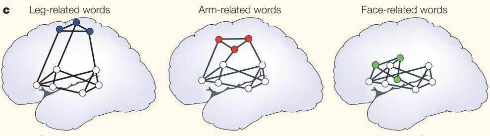 Action words