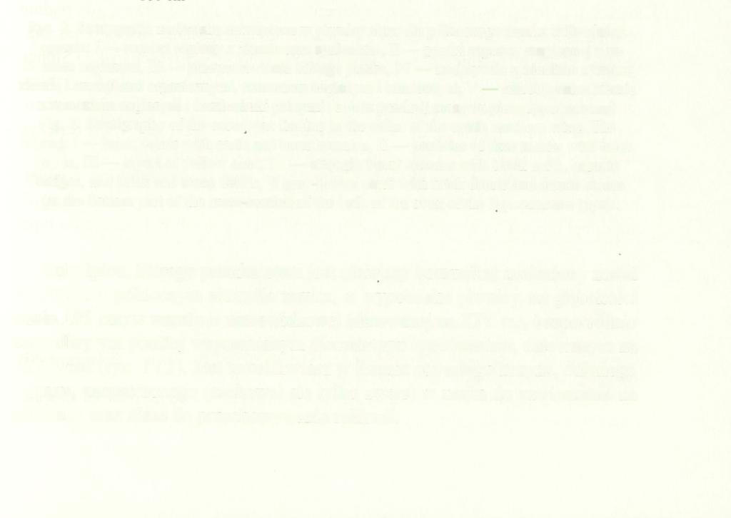 ENKOLPION Z ZAMKU KRZYŻACKIEGO W BRODNICY, WOJ. KUJAWSKO-POMORSKIE 233 Ryc. 2. Stratygrafia znaleziska enkolpionu w piwnicy skrzydła północnego zamku w Brodnicy.