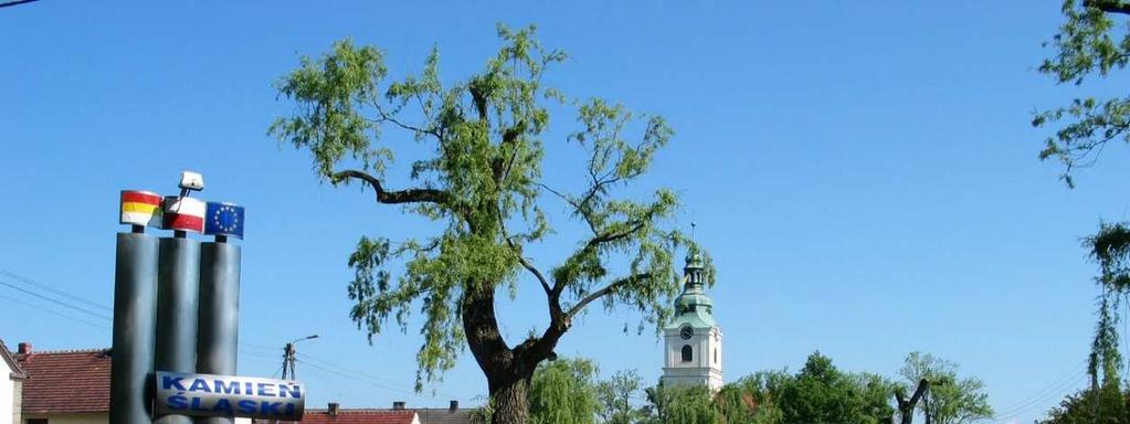 Kamień Śląski gmina Gogolin Deklarowane przez GOW największe
