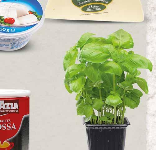 36 SER RICOTTA 250 G 10328763 BAZYLIA