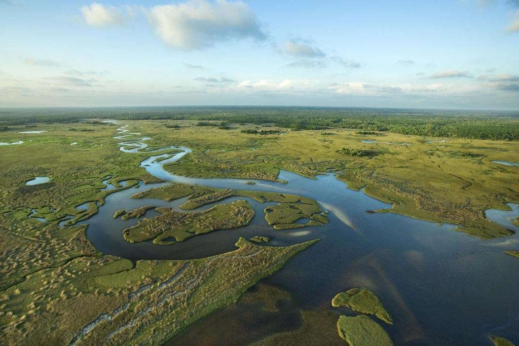 Dzień 2 Piątkowe przedpołudnie rozpoczniemy od wyprawa do Parku Narodowego Everglades!