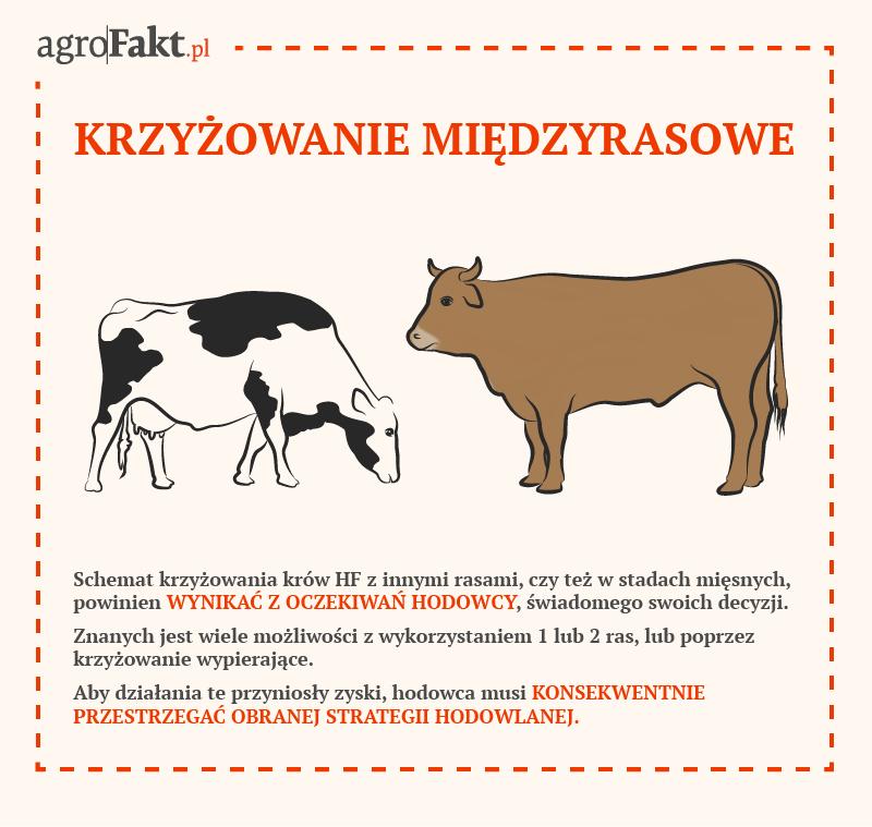 .pl https://www..pl Od wielu lat obserwuje się skracanie długości użytkowania krów mlecznych, szczególnie rasy holsztyńsko-fryzyjskiej.