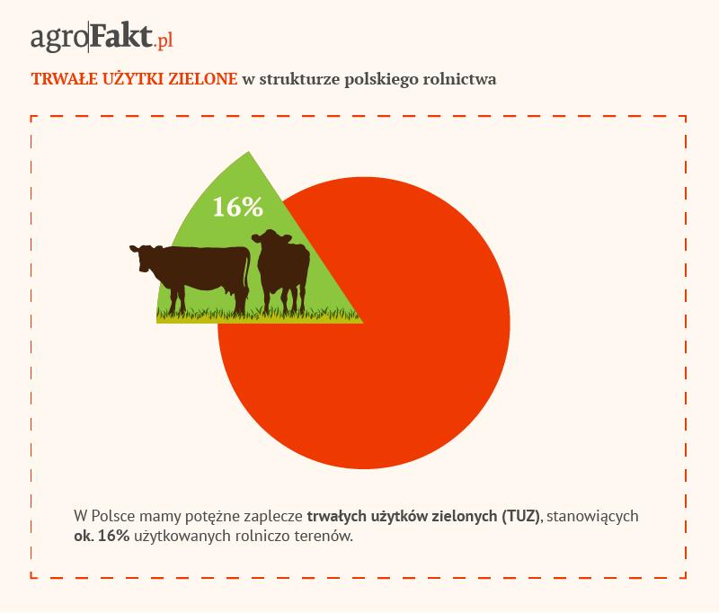 .pl https://www..pl Trwałe użytki zielone w Polsce. Nie należy też zapominać, że w Polsce mamy potężne zaplecze trwałych użytków zielonych (TUZ), stanowiących ok. 16% użytkowanych rolniczo terenów.