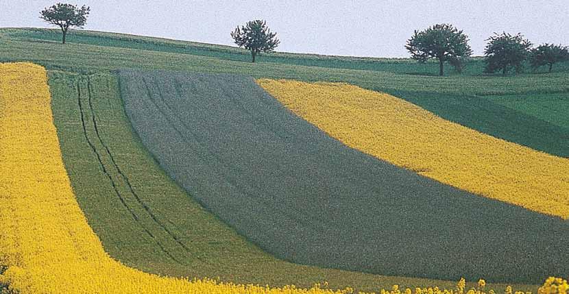 insektycydy Proteus 11 OD w nowoczesnej formulacji O-TEQ Od wielu lat firma Bayer CropScience bada różnego rodzaju postacie preparatów, aby uzyskać rzeczywiste innowacje w dziedzinie technologii