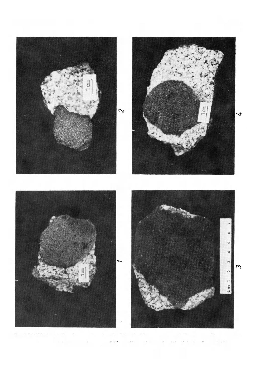 GEOLOGIA SUDETICA, VOL.