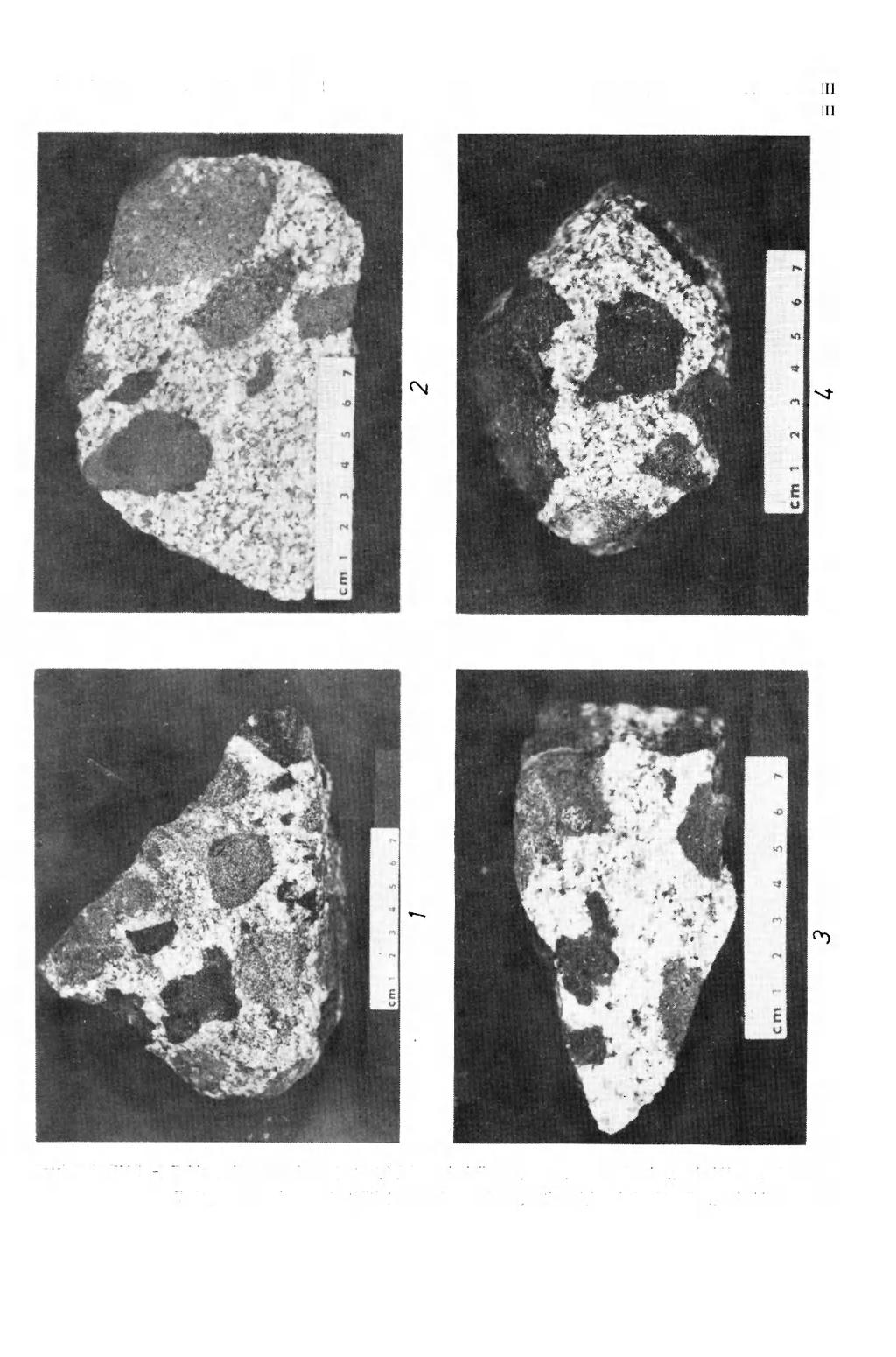 GEOLOGIA SUDETICA, VOL.