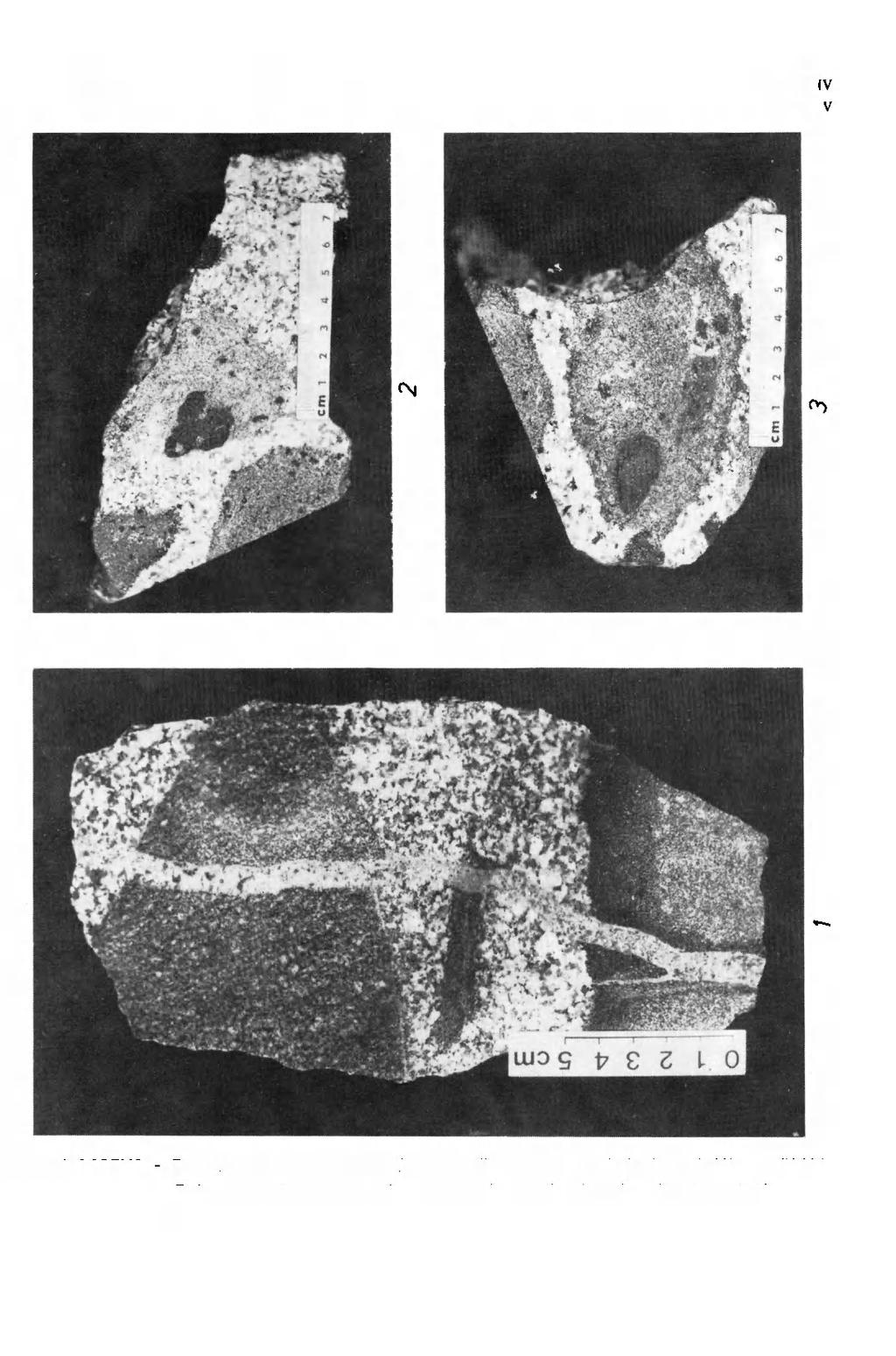 GEOLOGIA SUDETICA, VOL.