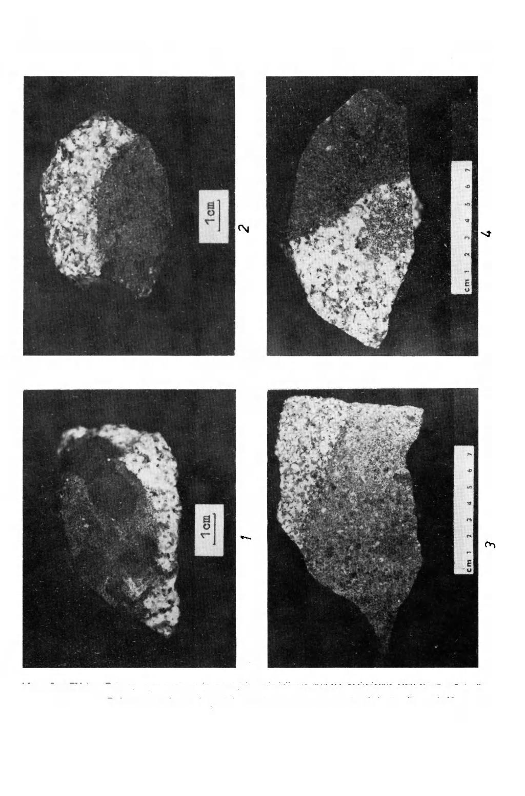 GEOLOGIA SUDETICA, VOL.