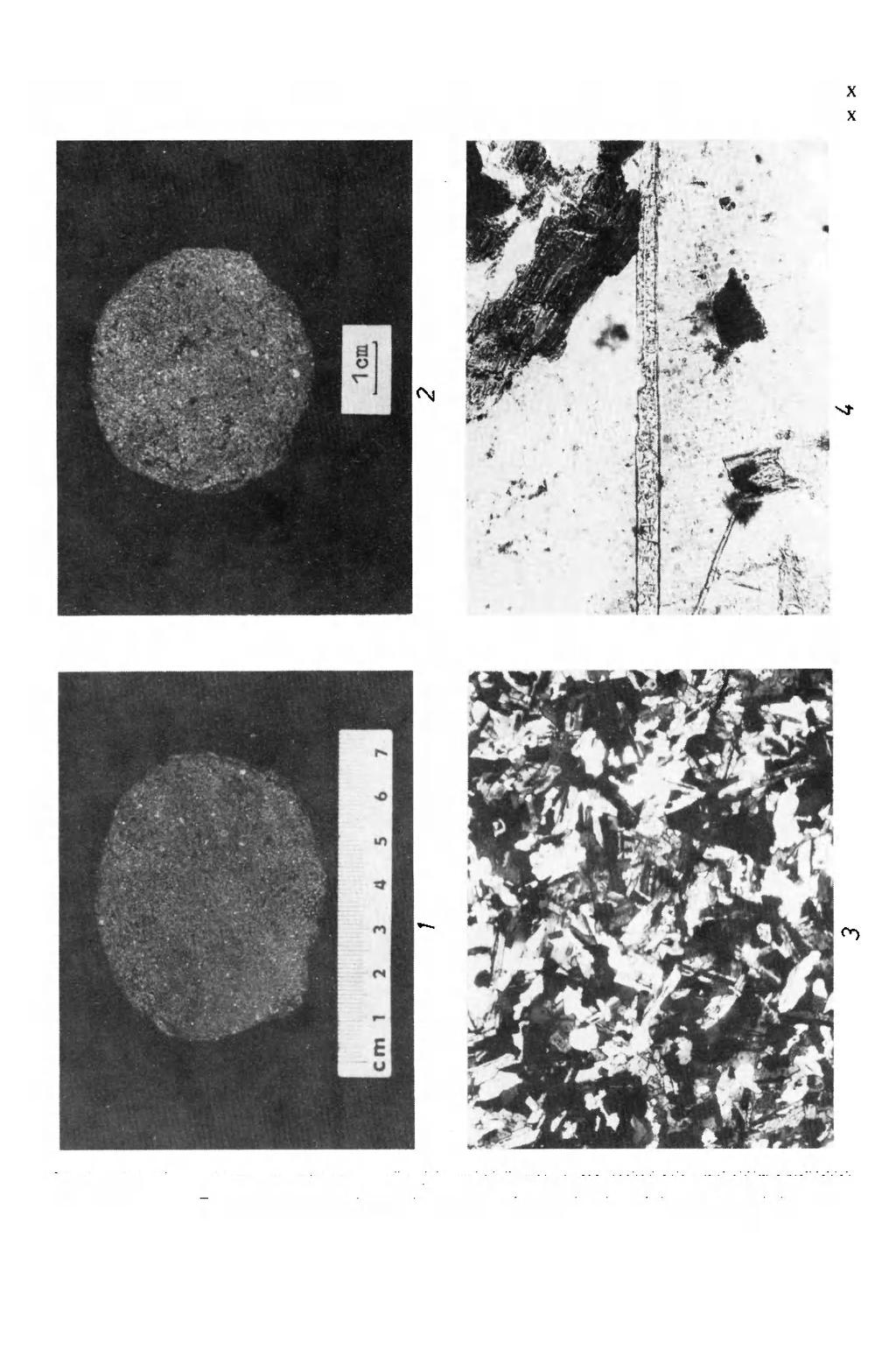 GEOLOGIA SUDETICA, VOL.