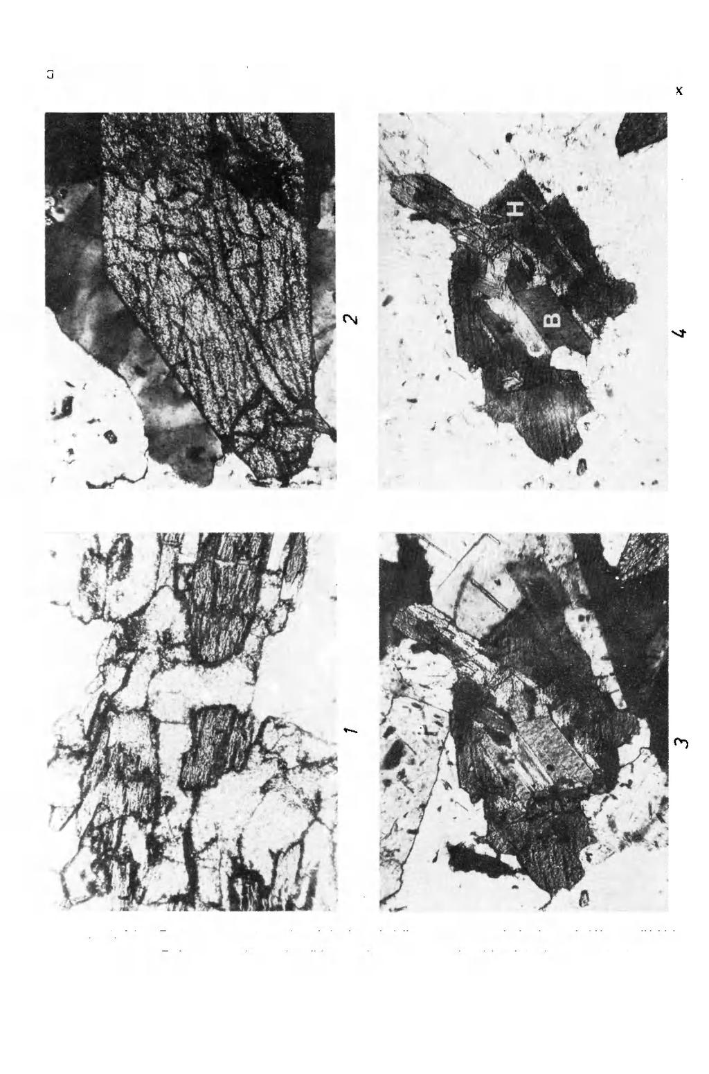 GEOLOGIA SUDETICA, VOL.