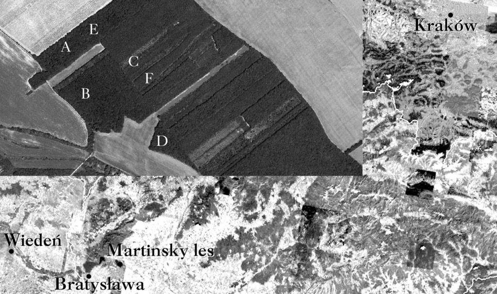 Zgrupowania wciornastków (Thysanoptera) pni drzew 661 Ryc. 1. Usytuowanie stanowisk badawczych (http://maps.google.