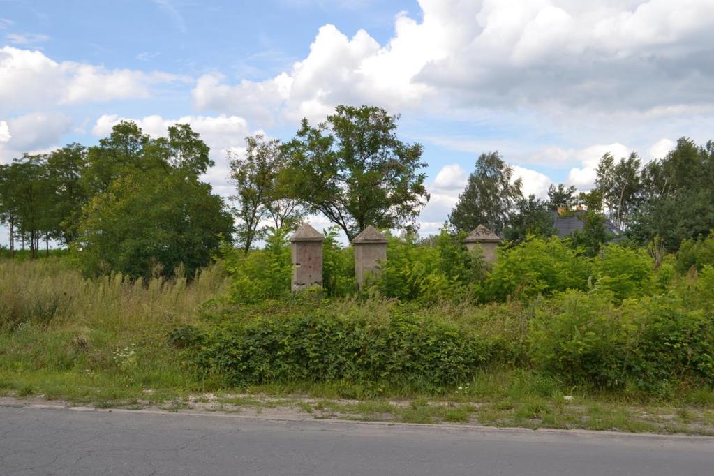 GEZ 29 KARTA ADRESOWA ZABYTKU NIERUCHOMEGO 1. Nazwa CMENTARZ EWANGELICKI (relikty) 2. Czas powstania 1 poł. XIX w. 3. Miejscowość RADZYMIN 8. Fotografia z opisem wskazującym orientację 4. Adres ul.