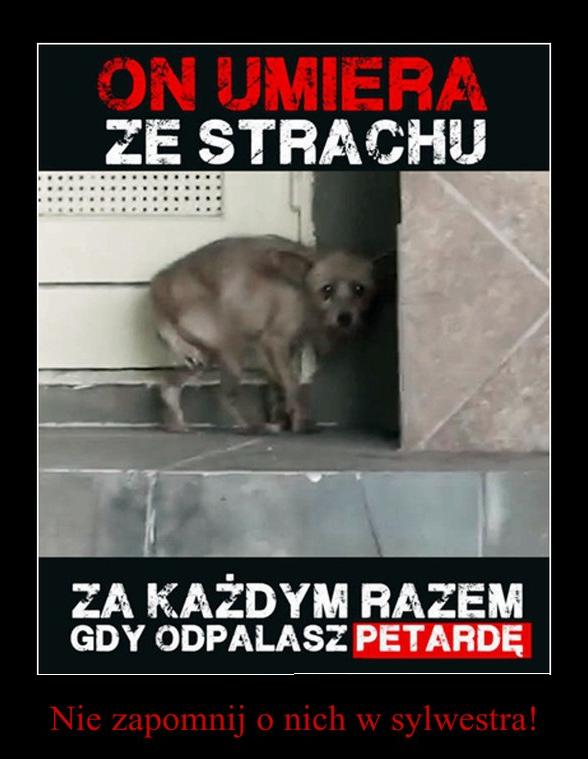 zadbać również o swoje własne Gdy fajerwerki rozbłyskują na niebie, Nowy Rok 2018 niech zdrowiem i szczęściem spłynie na Ciebie, Niechaj Bóg nie zostawi Cię nigdy w potrzebie Przyjmij