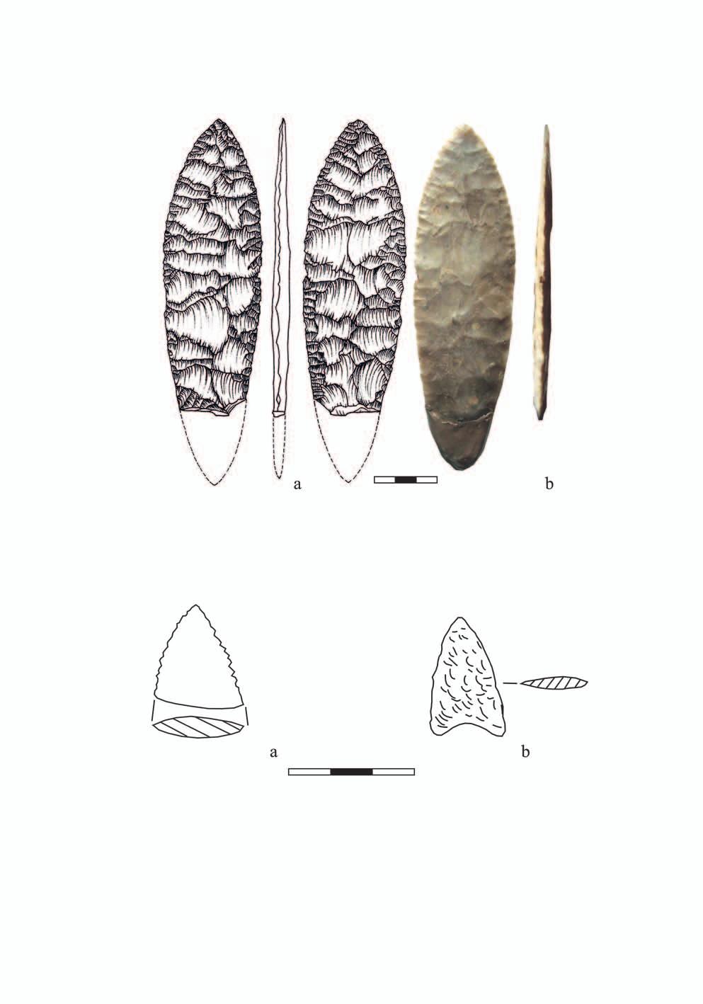 Ryc. 2. Wolin, stan. 8. Płoszcze krzemienne z domniemanego zespołu grobowego: a rys. A. Ryś (na podstawie rysunku z karty katalogowej znajdującej się w Muzeum Regionalnym w Wolinie); b fot. M. Dziewanowski Fig.
