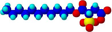 Sulfobursztyniany R - Na + S - Na + Sulfobursztyniany monoalkilowe, sulfobursztyniany dialkilowe R - alkohol, E alkohol, alkanoloamid INCI: Disodium