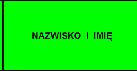 Drugie Strzeleckie Mistrzostwa Szkół Gimnazjalnych i Ponadgimnazjalnych RegionuSiedleckiego Siedlce - 26-11-2014