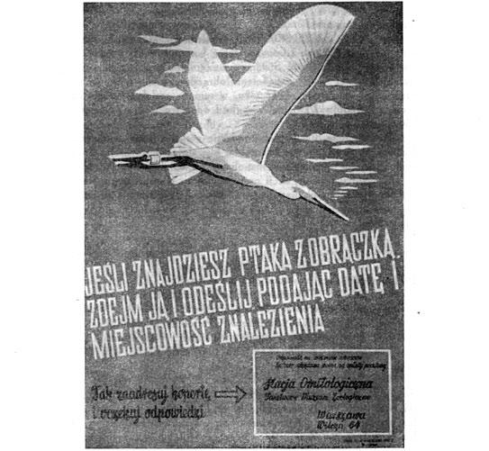 Fot. 3. Afisz Stacji Ornitologicznej z drugiej połowy lat 40. XX w. (Acta Ornithologica 1951) Photo 3. Poster of the Ornithological Station from the second half of the 1940s 1953 r.