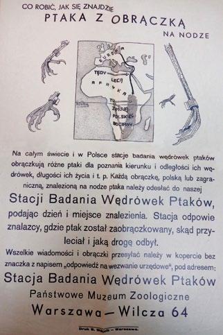 Fot. 1. Plakat Stacji Badania Wędrówek Ptaków (1938) ze zbiorów Archiwum MiIZ PAN Photo 1.